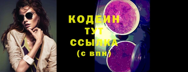 гашик Краснослободск