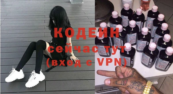 гашик Краснослободск