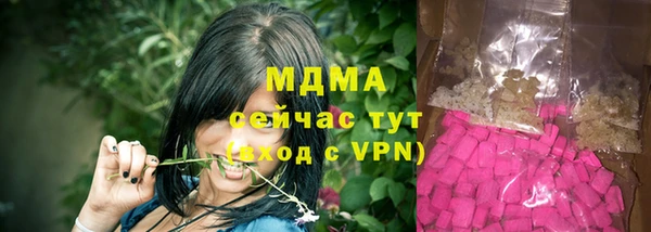 гашик Краснослободск