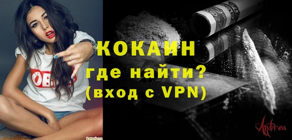 гашик Краснослободск